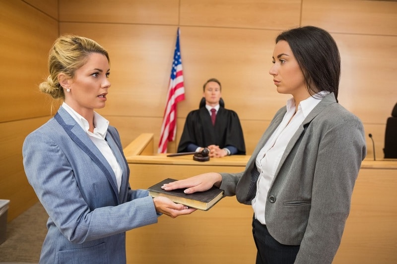How the Plaintiff Conducts themselves in Court