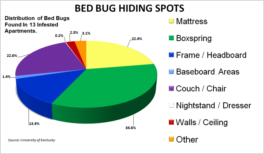 Bed Bugs Hiding Spots