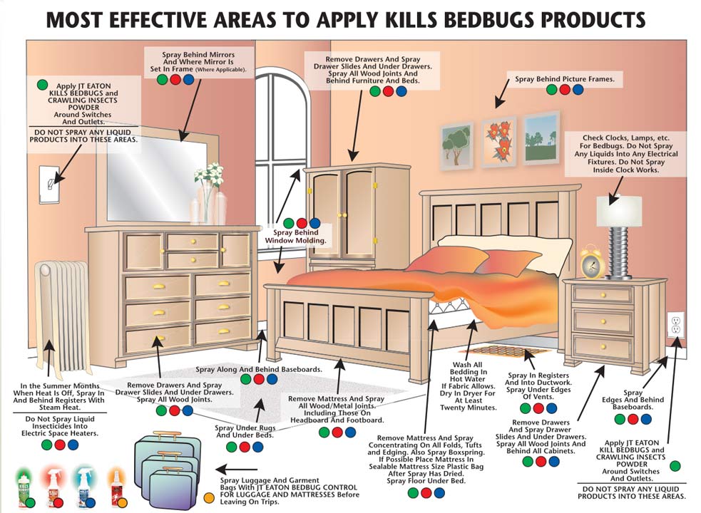 Get Rid Of Bed Bugs