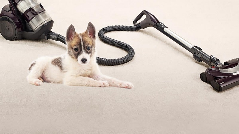Vacuums for Pet Hair