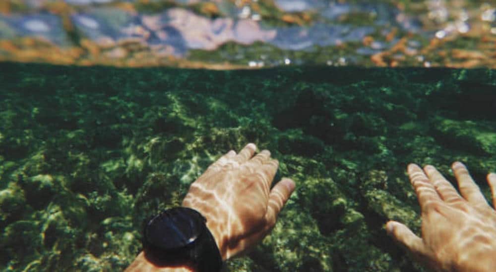 smartwatch for swimming