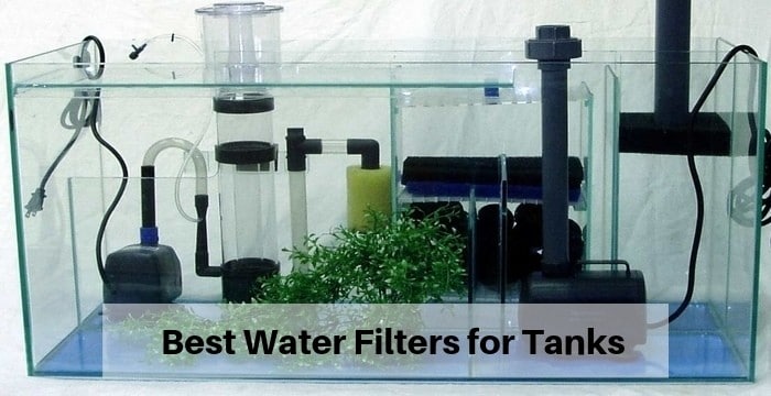 Best Water Filters for Tanks