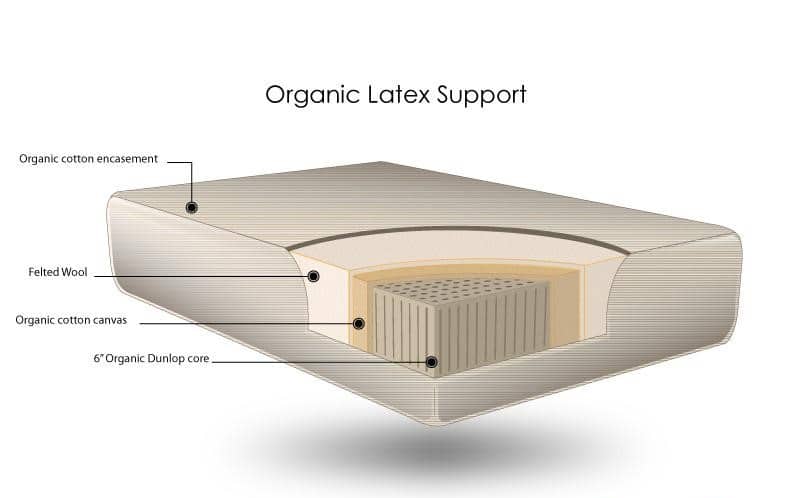 Organic Latex Support