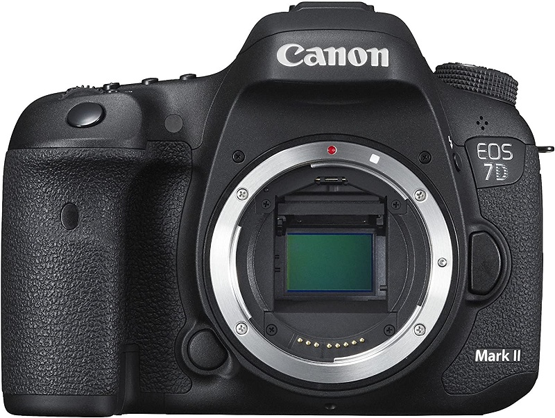 Canon EOS 7D Mark II Image