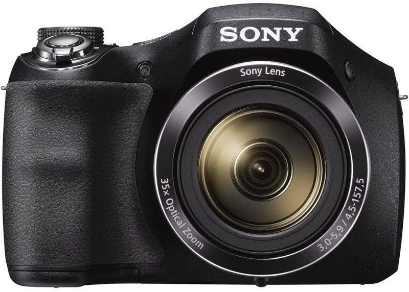Sony DSCH300 Camera Image