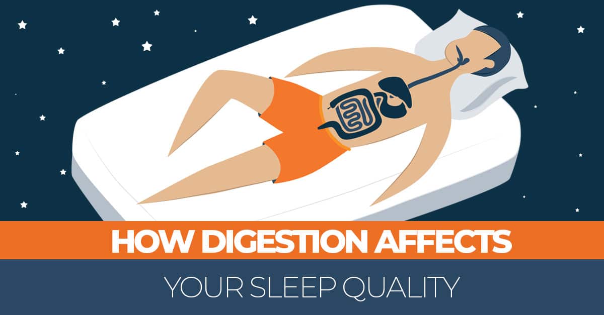 Digestive System with sleep