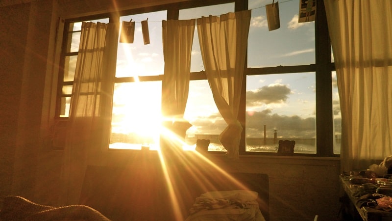 Sunshine on the Windows