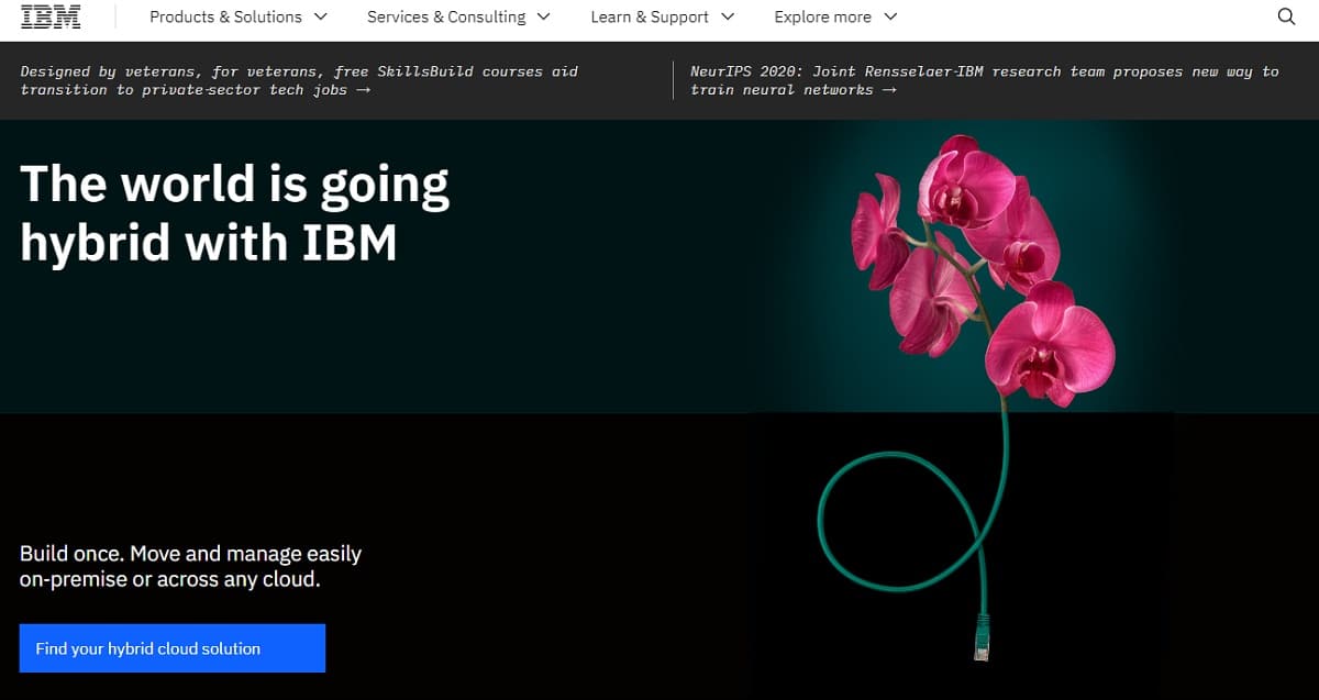 IBM Data Companies