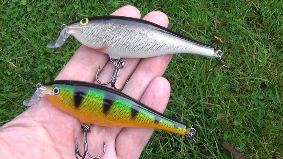 Important Tips for Buying a Fishing Lure