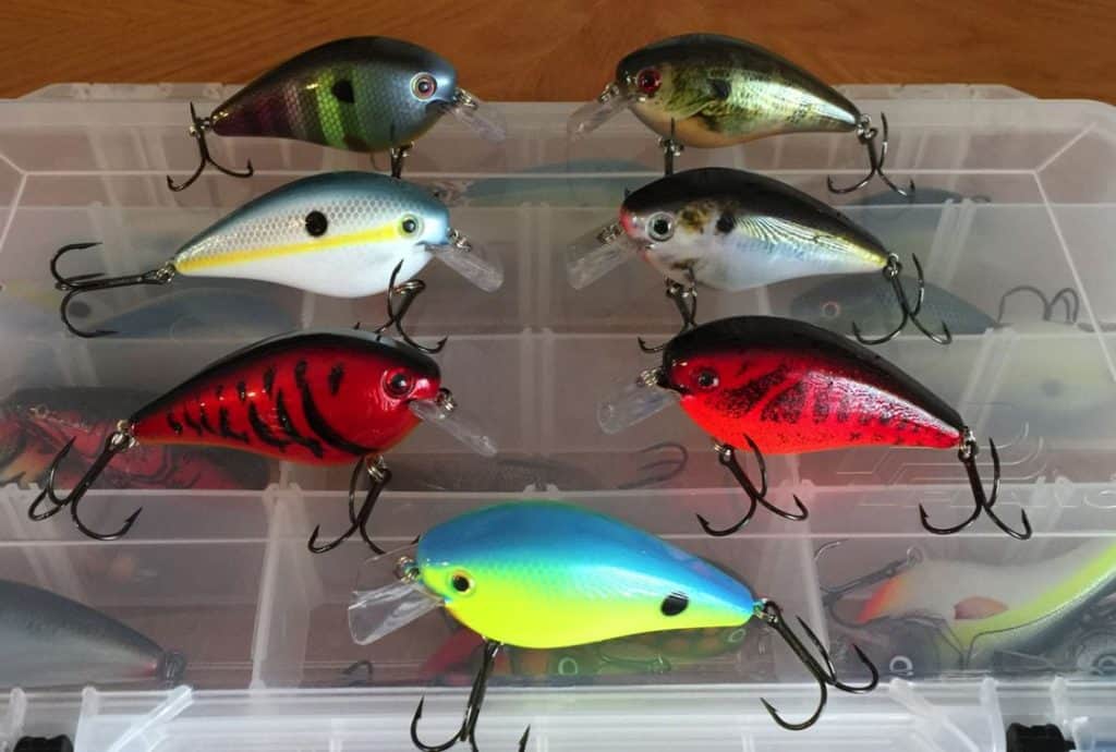 fishing lure colors