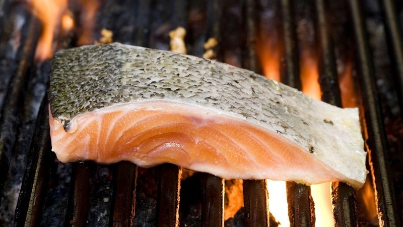 Barbeque Salmon Recipes