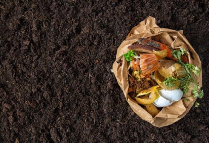 Compost and Manure
