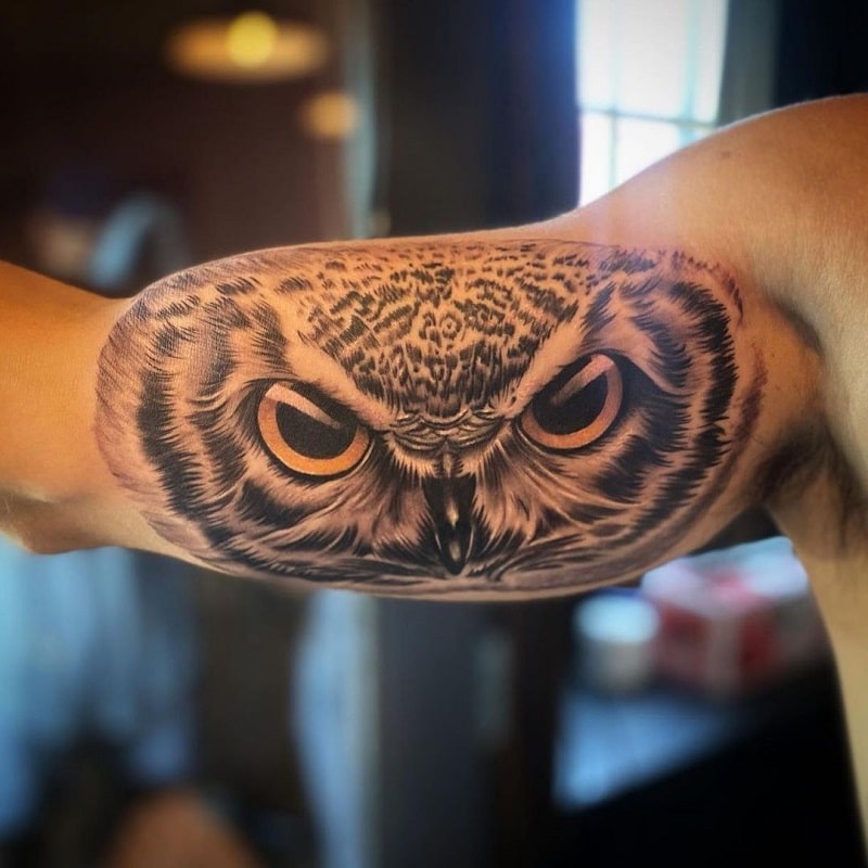 Owl Face Tattoo