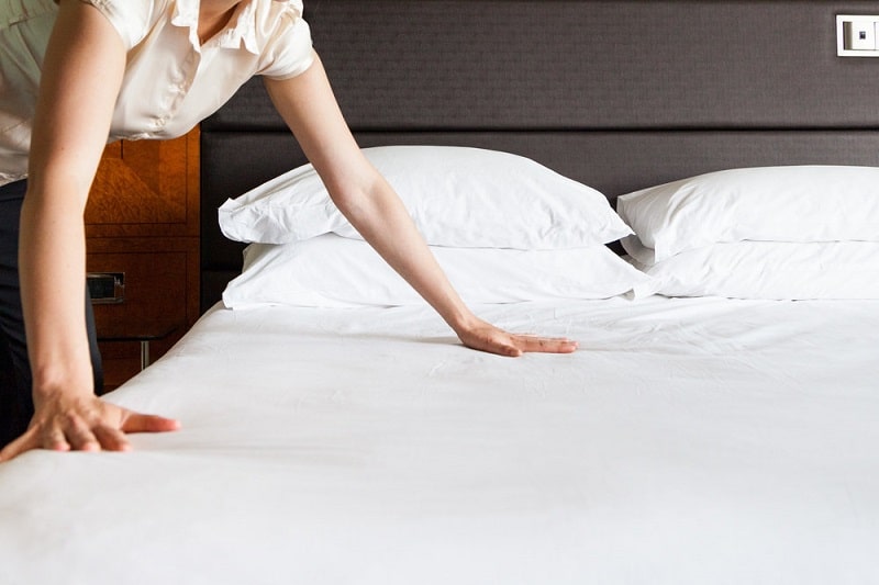 clean your bed bed bugs