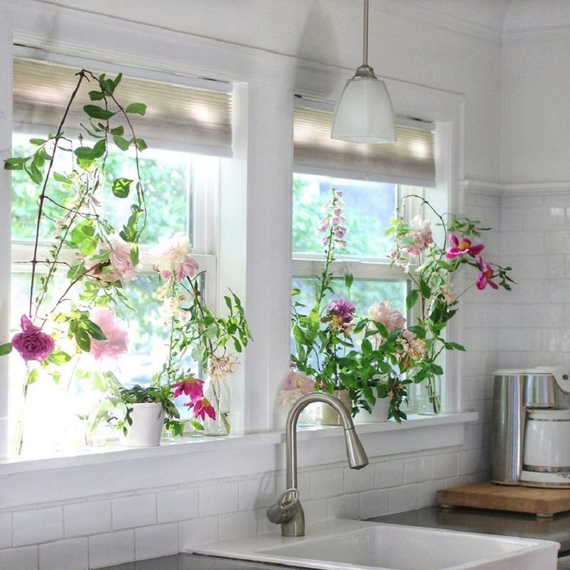 Bring outdoors to your indoors Window