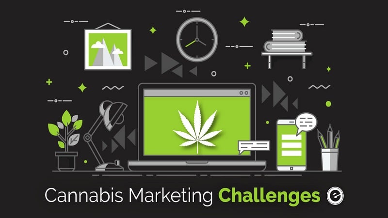 Digital Marketing Tips and Tricks for Your Cannabis Business