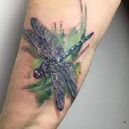 Dragonfly Tattoo 5