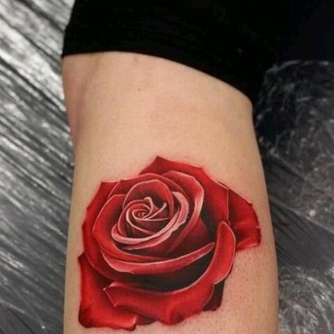 Rose 3D Tattoo 3