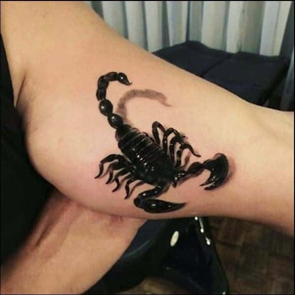 Scorpion 3D Tattoo 11