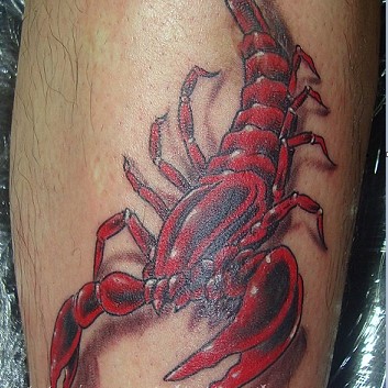 Scorpion 3D Tattoo 13