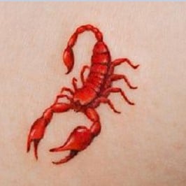 Scorpion 3D Tattoo 14