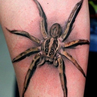 Spider 3D Tattoo 13