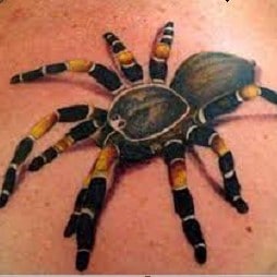 Spider 3D Tattoo 2