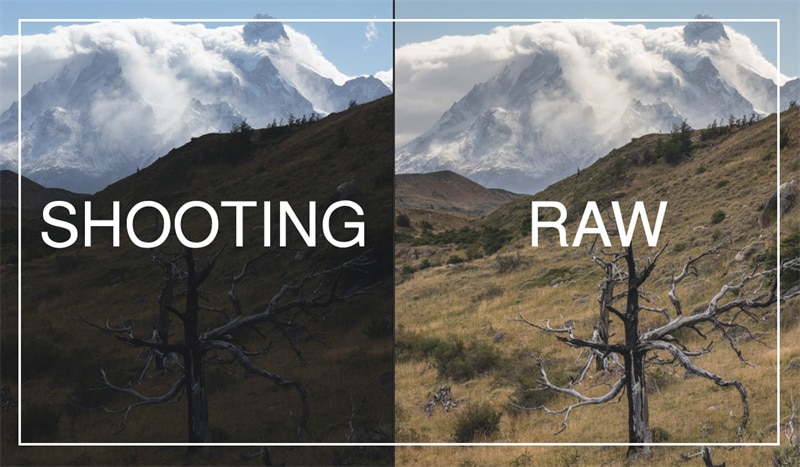 Shoot in RAW